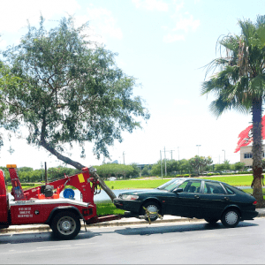 clearwater florida junk car buyer